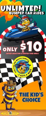 Billy Beez has $10 Bumper Cars for a Limited Time - Salmon Run Mall